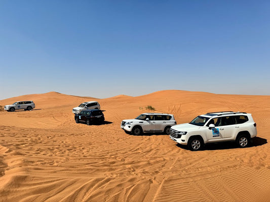 Dubai: Morning Red Dune Safari with Camel Ride, Sandboarding, and Optional Quad Bike