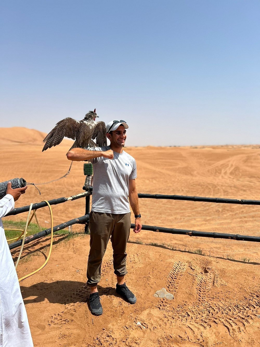 Dubai: Morning Red Dunes Safari with Camel Ride, Sandboarding and Falcon Photo