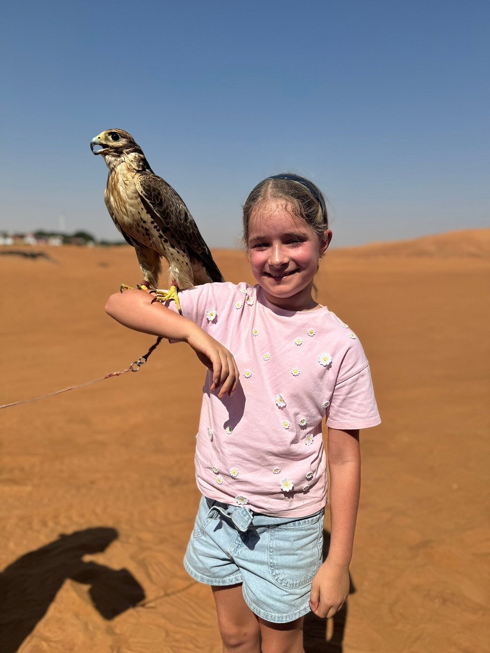 Dubai: Morning Red Dunes Safari with Camel Ride, Sandboarding and Falcon Photo