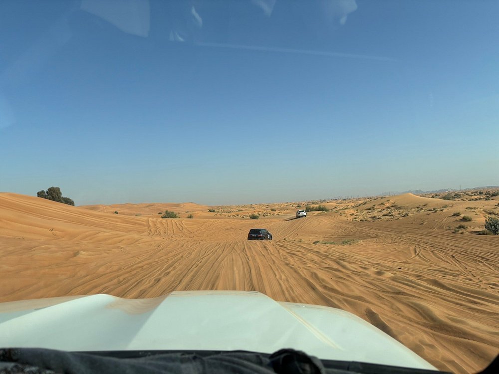 Dubai: Morning Red Dunes Safari with Camel Ride, Sandboarding and Falcon Photo