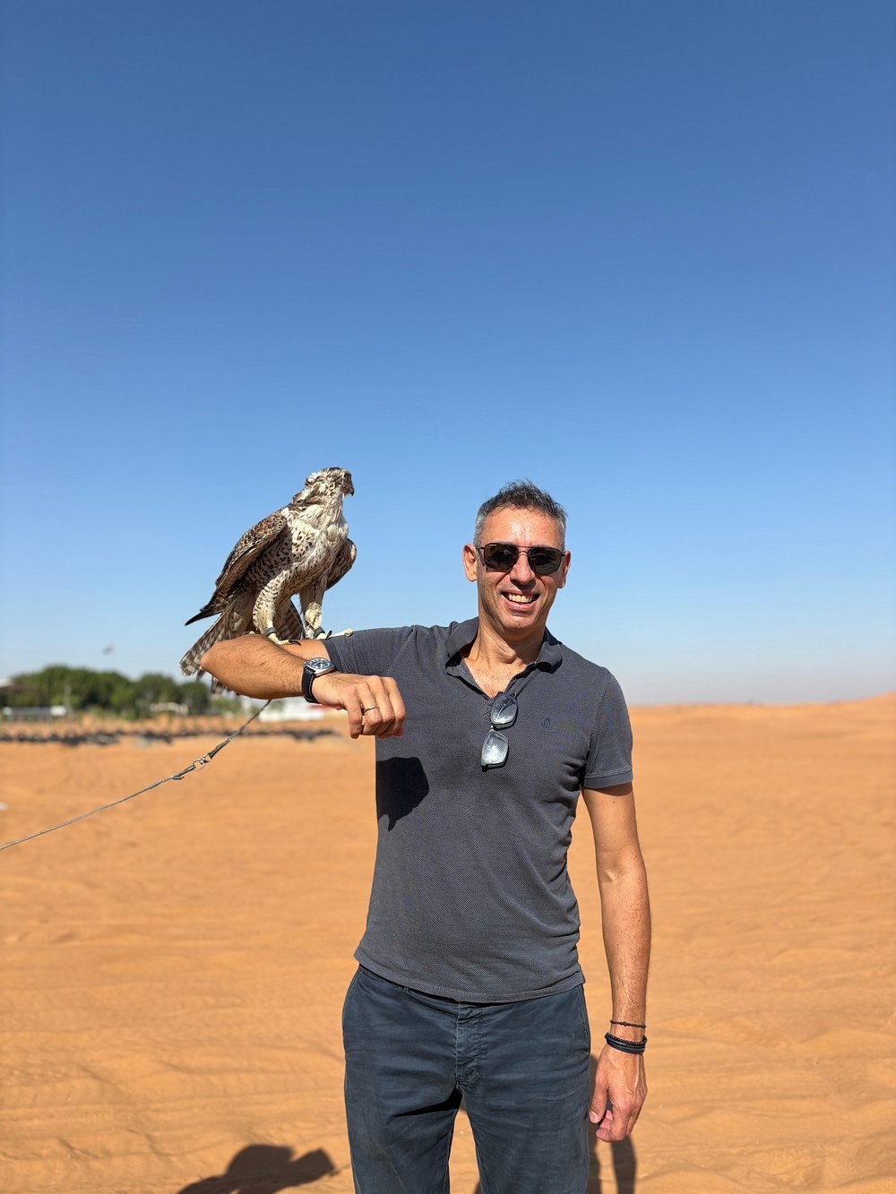 Dubai: Morning Red Dunes Safari with Camel Ride, Sandboarding and Falcon Photo