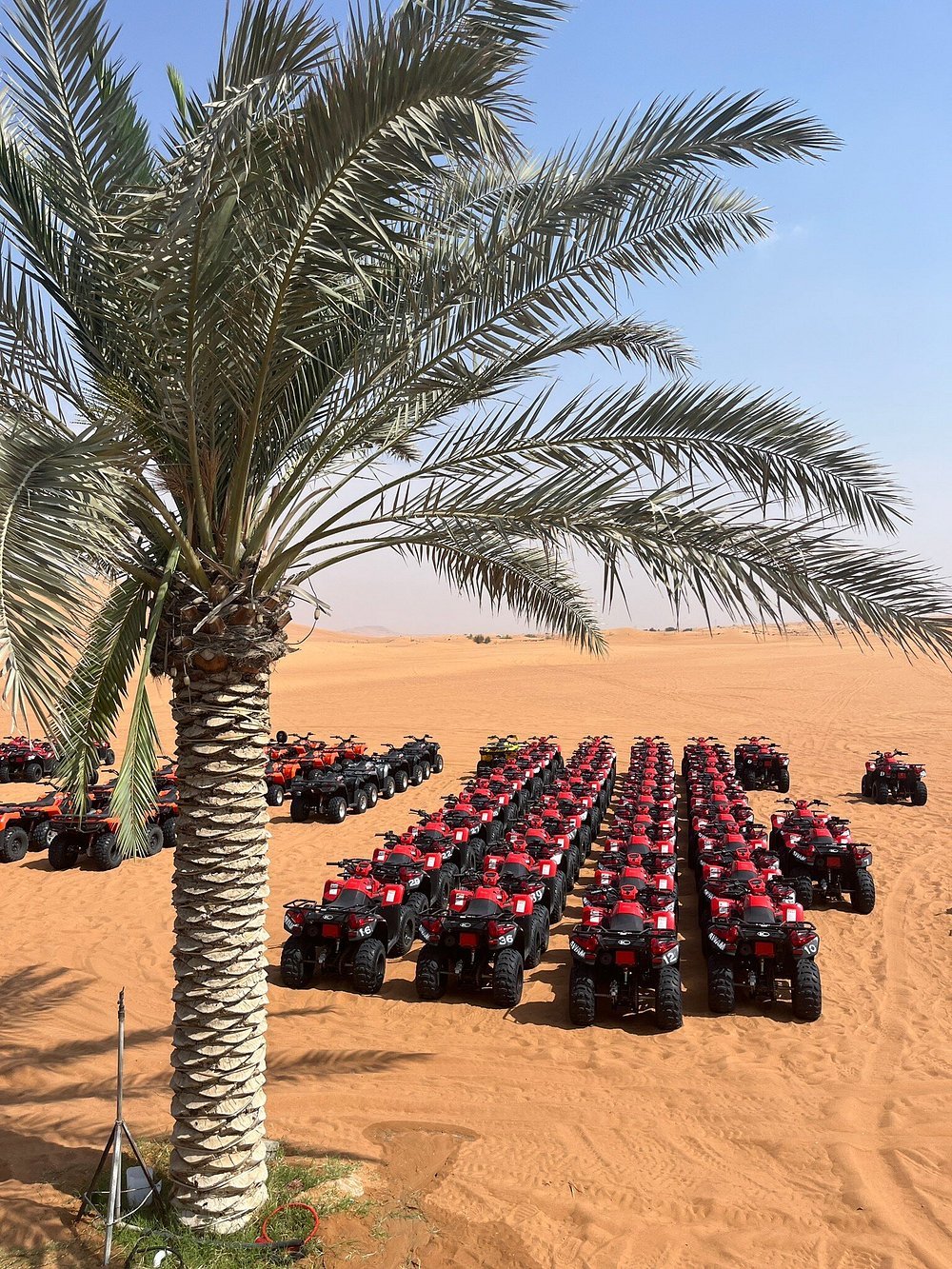 Dubai: Morning Red Dunes Safari with Camel Ride, Sandboarding and Falcon Photo