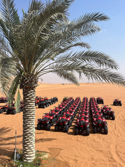 Dubai: Morning Red Dunes Safari with Camel Ride, Sandboarding and Falcon Photo