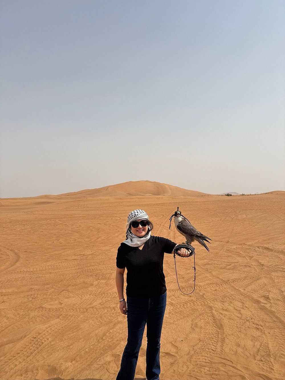 Dubai: Morning Red Dunes Safari with Camel Ride, Sandboarding and Falcon Photo