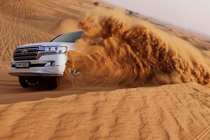 Dubai: Morning Red Dunes Safari with Camel Ride, Sandboarding and Falcon Photo