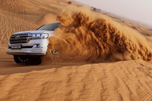 Dubai: Morning Red Dunes Safari with Camel Ride, Sandboarding and Falcon Photo