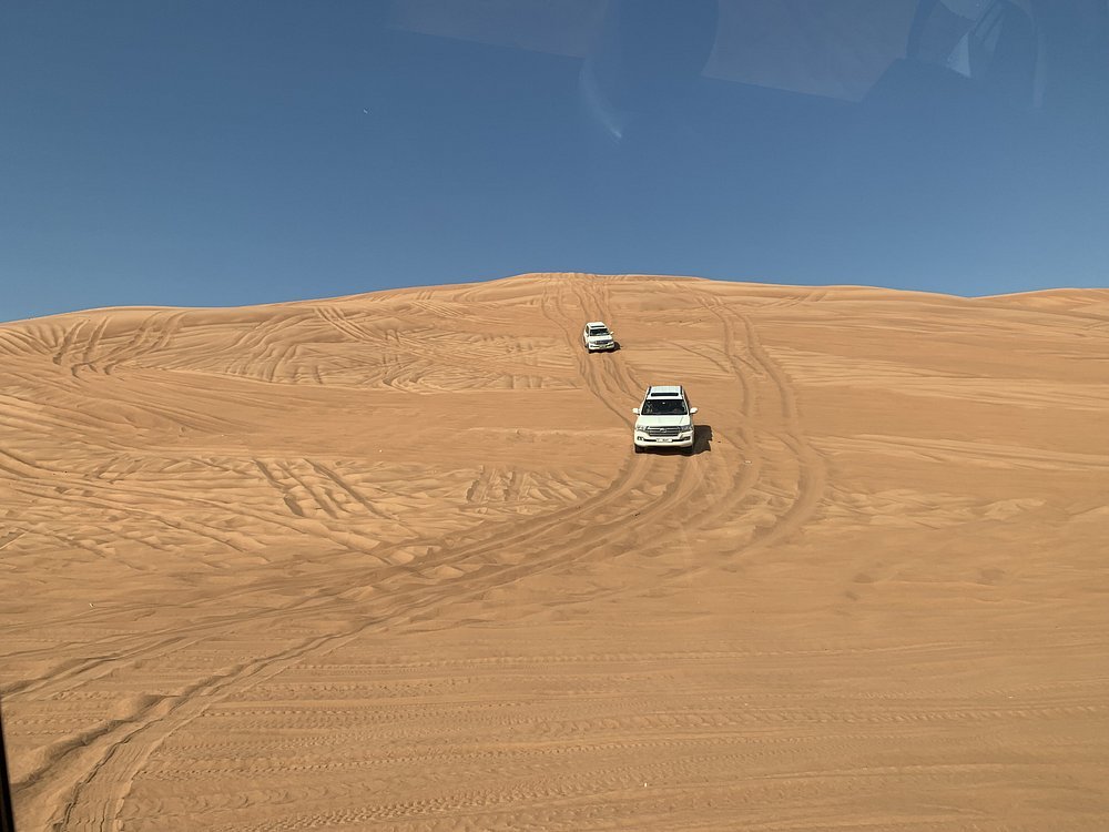 Dubai: Morning Red Dunes Safari with Camel Ride, Sandboarding and Falcon Photo