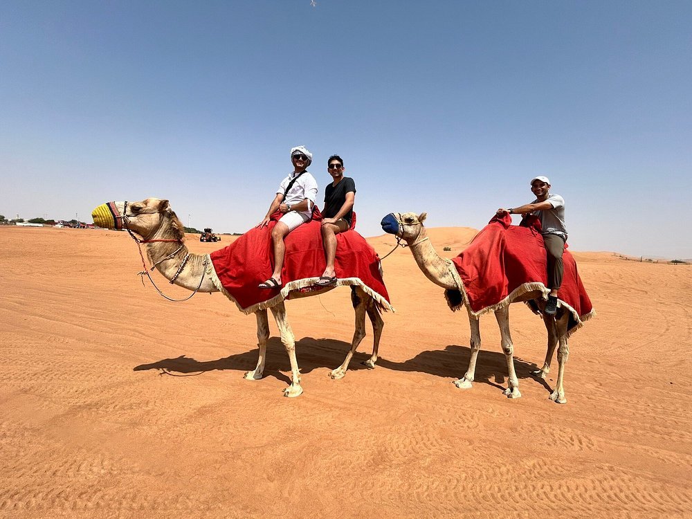 Dubai: Morning Red Dunes Safari with Camel Ride, Sandboarding and Falcon Photo