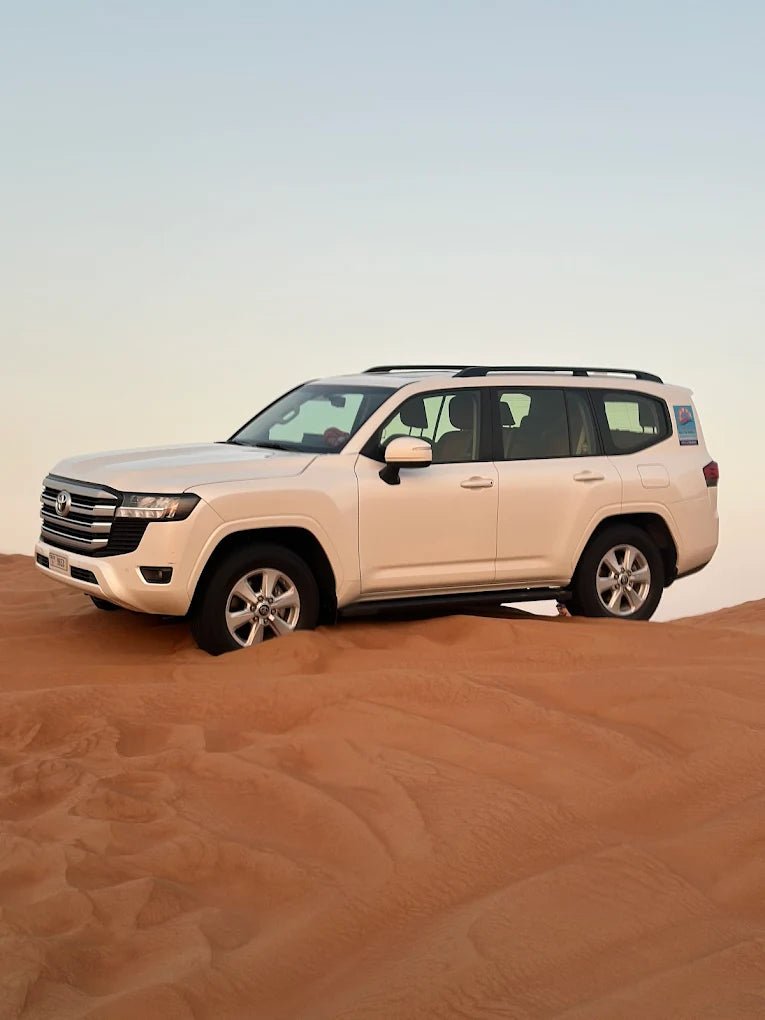 Dubai: Private Desert Safari with Camel Ride, Sandboarding and Falcon Photo