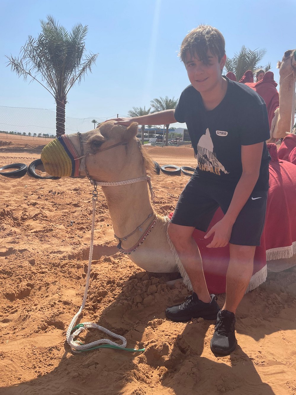 Dubai: Private Desert Safari with Camel Ride, Sandboarding and Falcon Photo