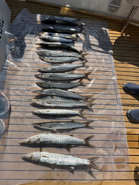 Dubai: Private Fishing Trip in the Deep Sea with BBQ Meal