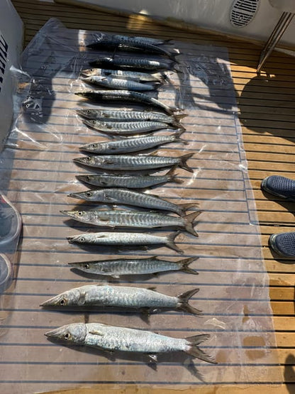 Dubai: Private Fishing Trip in the Deep Sea with BBQ Meal