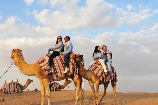 Dubai: Quad Bike Self - Drive and Camel Trek Adventure in Lahbab Desert