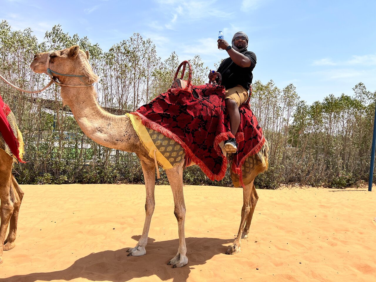 Dubai: Self - Drive Buggy Adventure with Camel Ride and Sandboarding