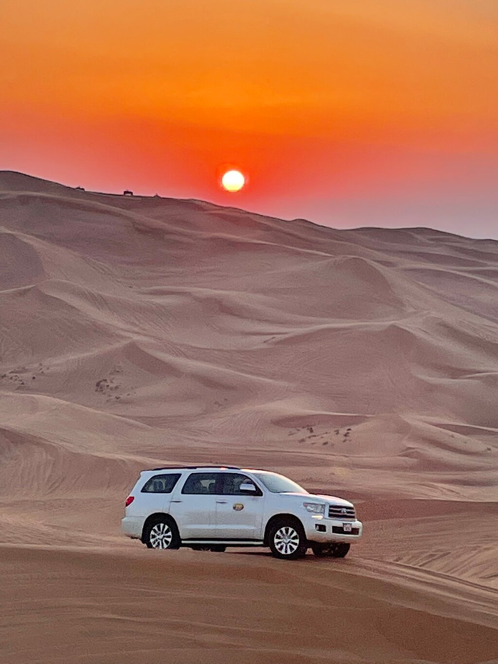 Dubai: Self - Drive Buggy Adventure with Camel Ride and Sandboarding