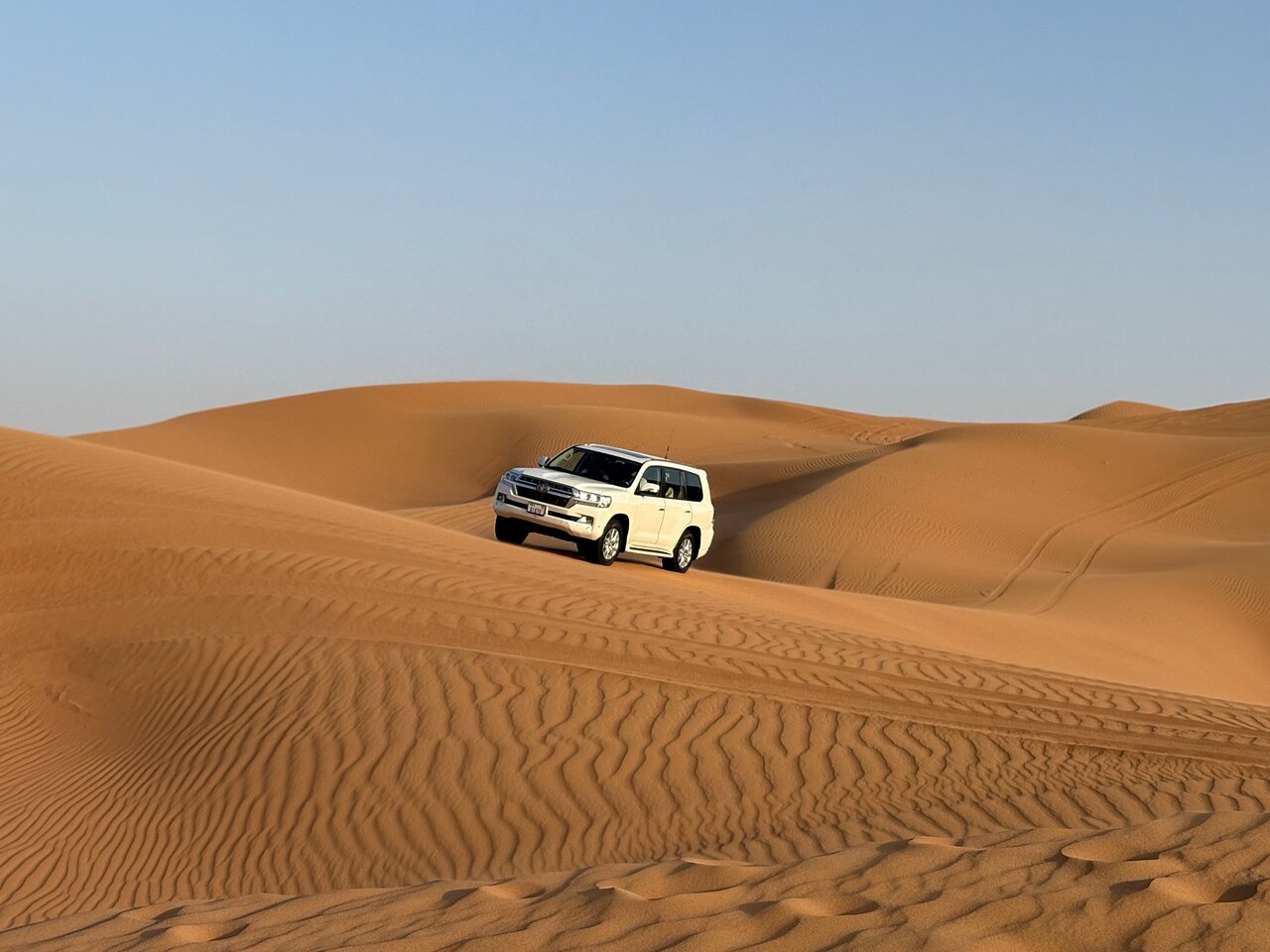 Dubai: Self - Drive Buggy Adventure with Camel Ride and Sandboarding