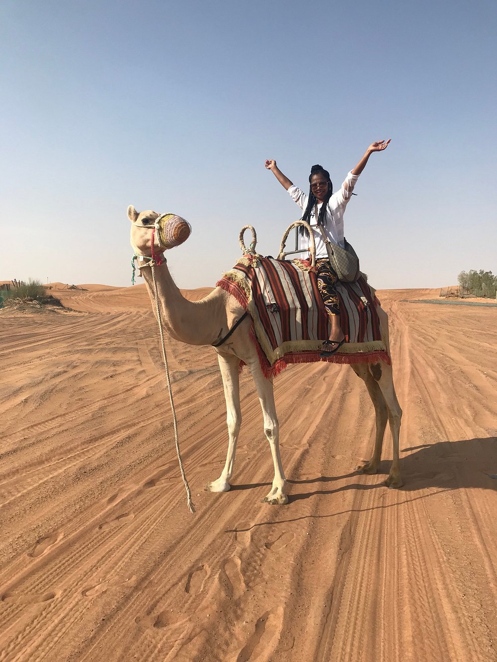 Dubai: Sunrise Desert Safari with Dune Bashing, Camel Ride and Sandboarding