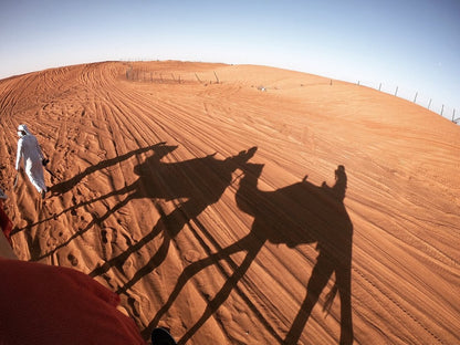 Dubai: Sunrise Desert Safari with Dune Bashing, Camel Ride and Sandboarding
