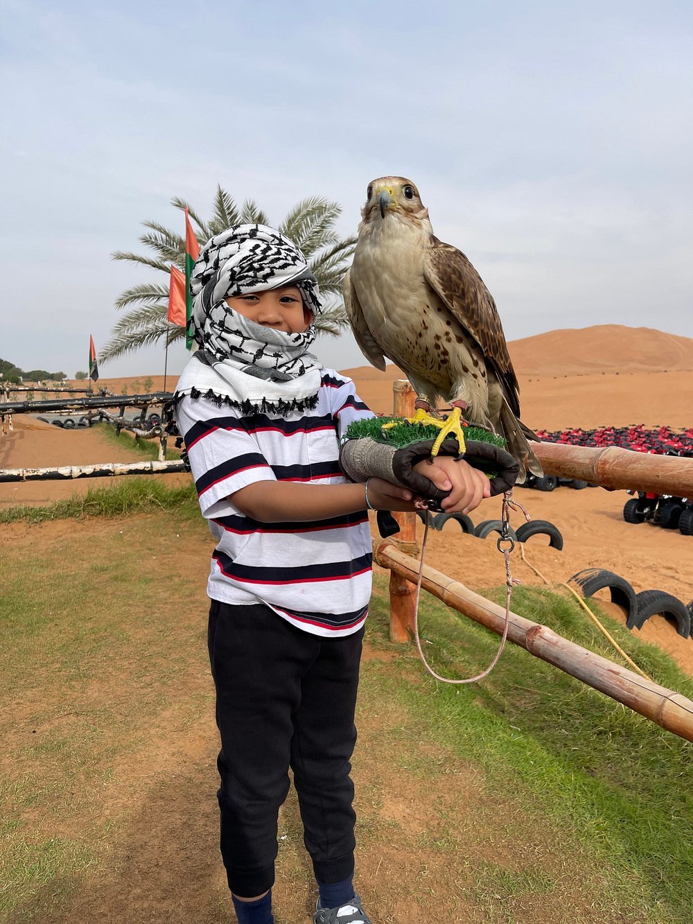 Dubai: Sunrise Desert Safari with Dune Bashing, Camel Ride and Sandboarding