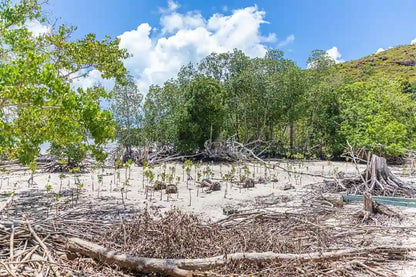 Praslin: Schnorchelausflug zur Insel Curieuse und St. Pierre