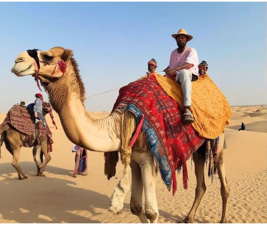 Doha: Tour guiado de safari por el desierto con visita al mar interior