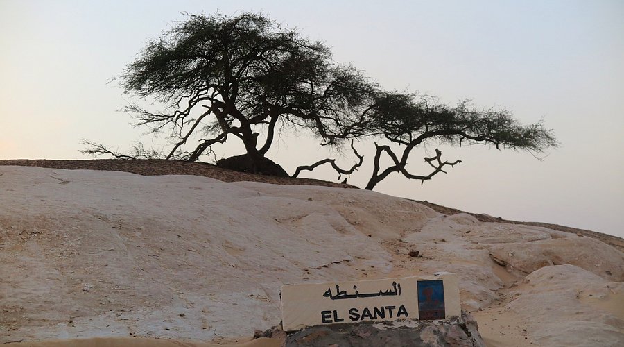 From Cairo: Black and White Desert and Bahiriya Oasis Guided Tour