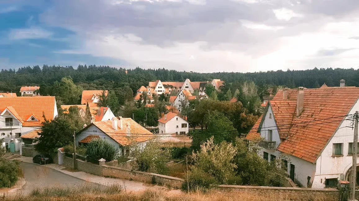 Fez: Day Trip to Middle Atlas Mountains, Ifrane and Monkey Forest