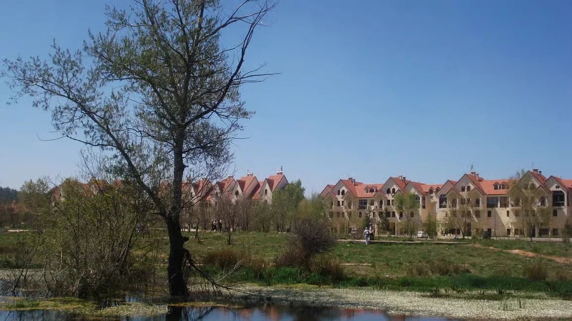 Fez: Day Trip to Middle Atlas Mountains, Ifrane and Monkey Forest