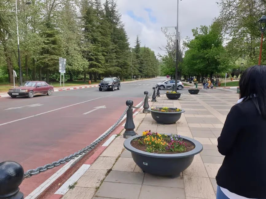 Fez: Day Trip to Middle Atlas Mountains, Ifrane and Monkey Forest
