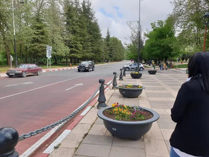 Fez: Day Trip to Middle Atlas Mountains, Ifrane and Monkey Forest