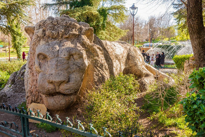 Fez: Day Trip to Middle Atlas Mountains, Ifrane and Monkey Forest