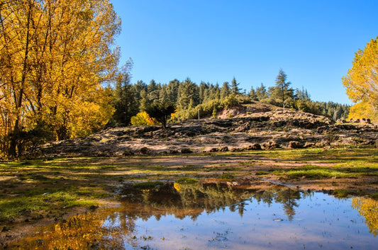 Fez: Day Trip to Middle Atlas Mountains, Ifrane and Monkey Forest