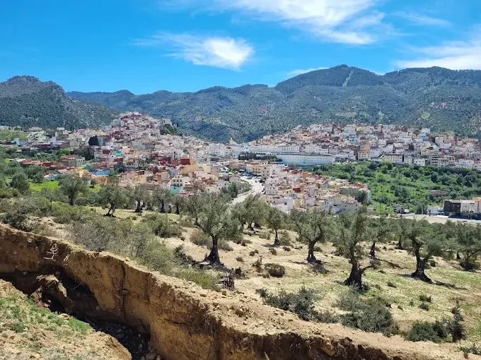Fez: Day Trip to Volubilis, Moulay Idriss and Imperial Meknes