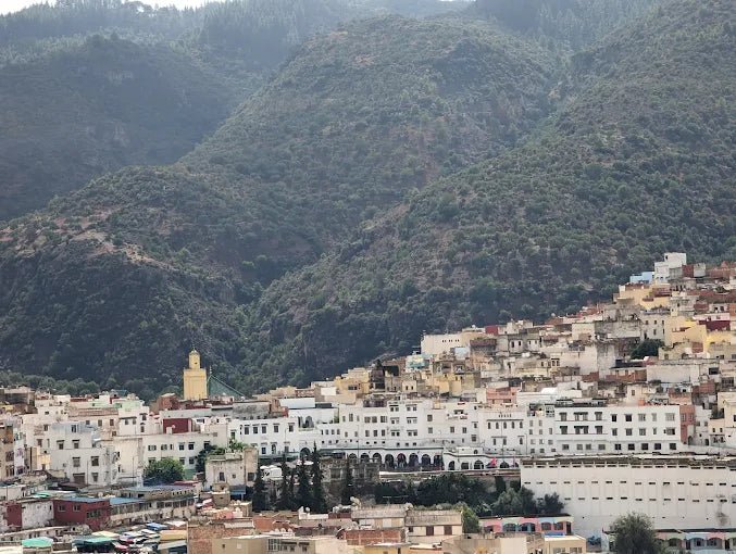 Fez: Day Trip to Volubilis, Moulay Idriss and Imperial Meknes