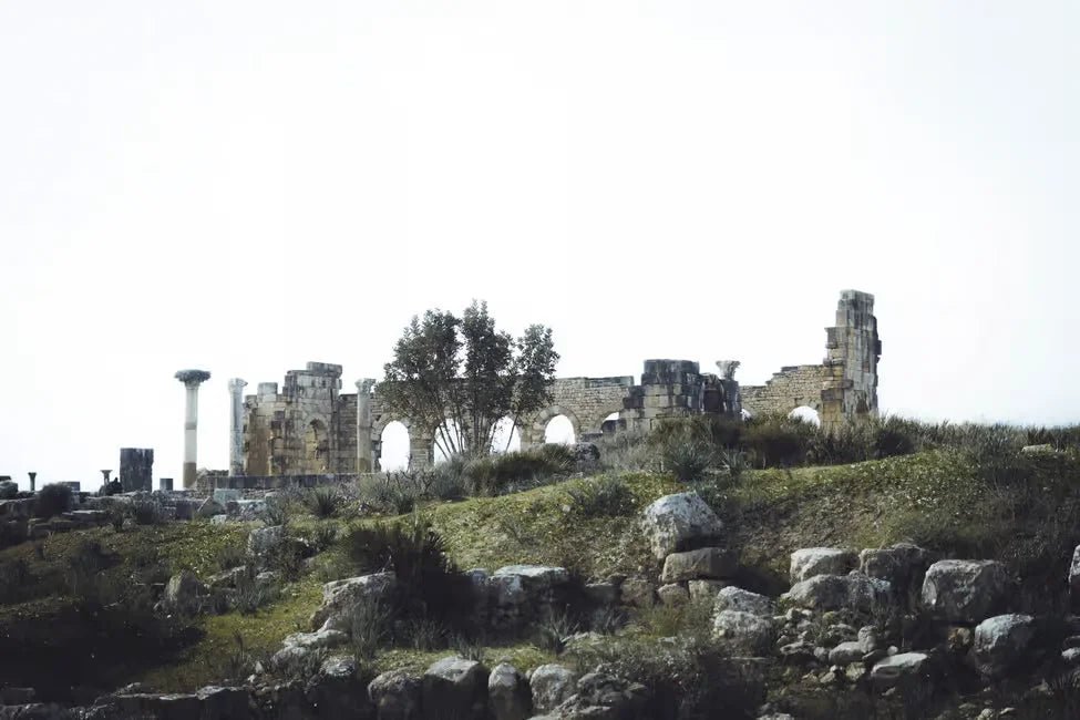 Fez: Day Trip to Volubilis, Moulay Idriss and Imperial Meknes