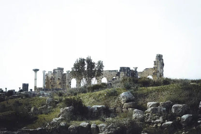 Fez: Day Trip to Volubilis, Moulay Idriss and Imperial Meknes