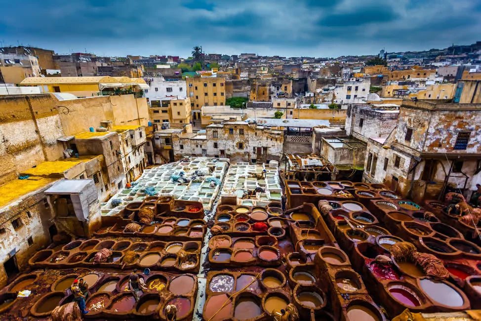 Fez: Medina Walking Tour with Tanneries, Nejjarine Museum, and More