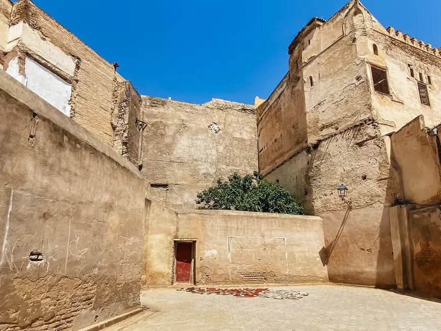 Fez: Medina Walking Tour with Tanneries, Nejjarine Museum, and More