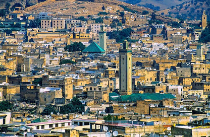 Fez: Medina Walking Tour with Tanneries, Nejjarine Museum, and More