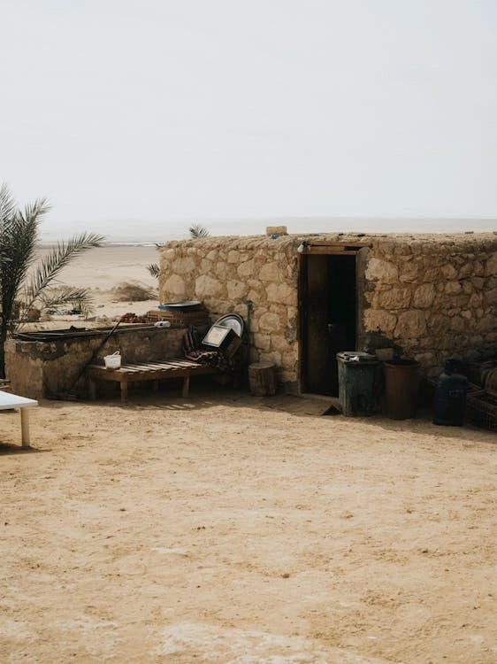 De Cairo: Excursão Particular Guiada de um Dia ao Oásis de Fayoum com Safari no Deserto