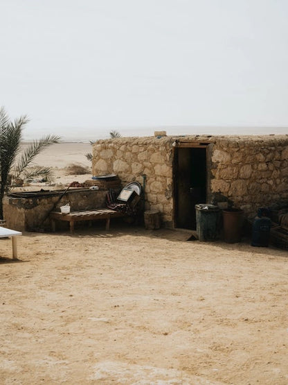 De Cairo: Excursão Particular Guiada de um Dia ao Oásis de Fayoum com Safari no Deserto