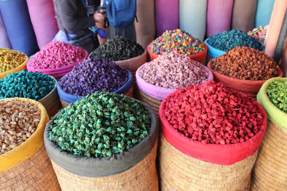From Agadir: Guided Day Trip to Marrakech with Medina Tour