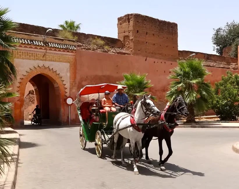 From Agadir: Guided Day Trip to Marrakech with Medina Tour