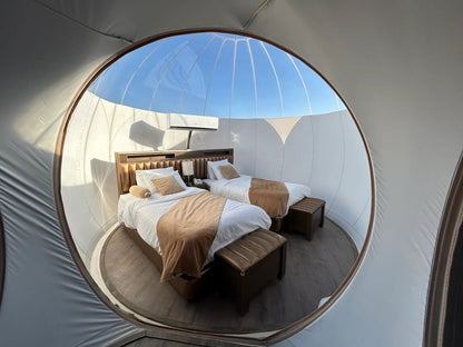 From Amman: 2 - Day Private Tour to Petra, Wadi Rum, and the Dead Sea with Bubble Room Stay