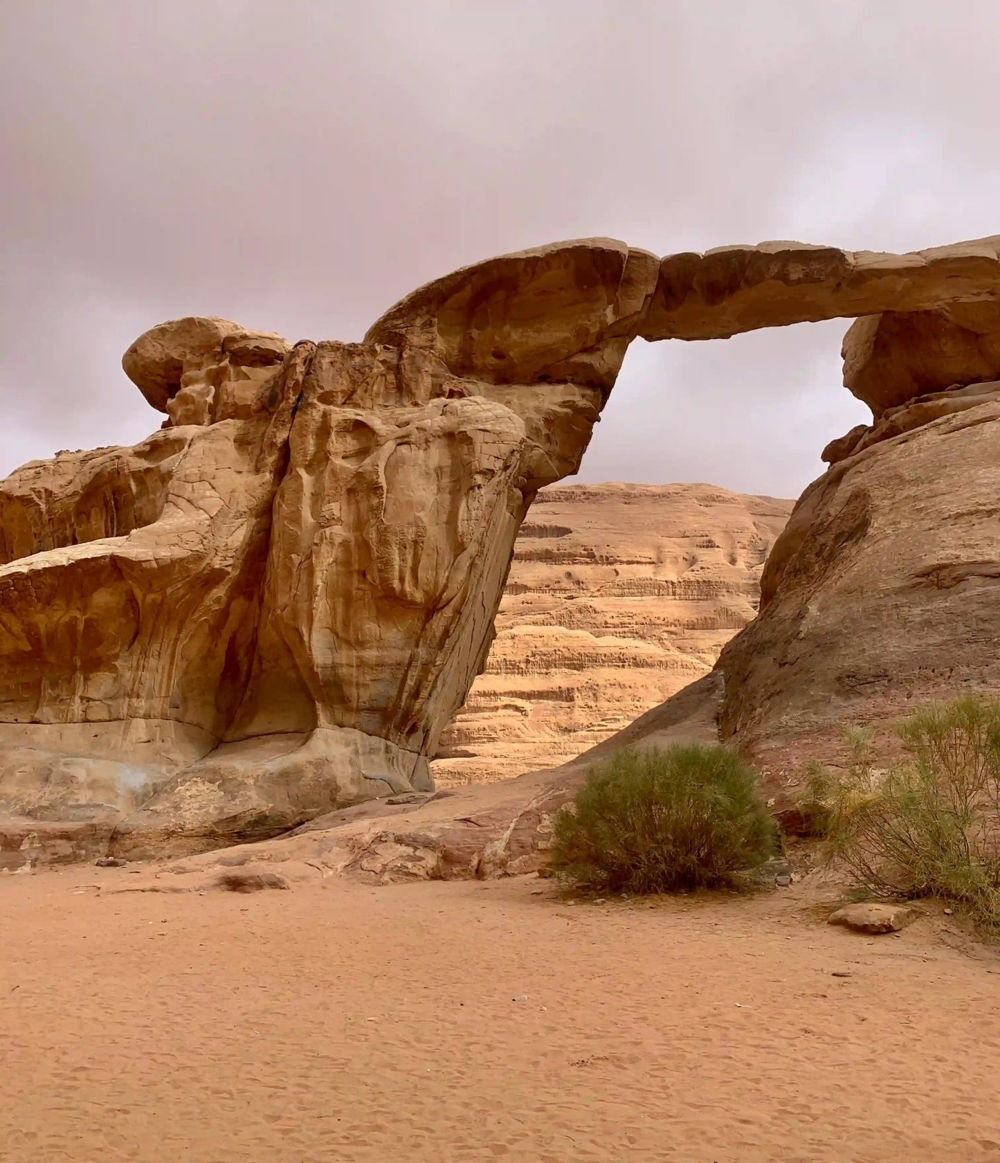 From Amman: 2 - Day Private Tour to Petra, Wadi Rum, and the Dead Sea with Bubble Room Stay