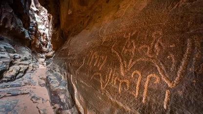 From Amman: 2 - Day Private Tour to Petra, Wadi Rum, and the Dead Sea with Bubble Room Stay