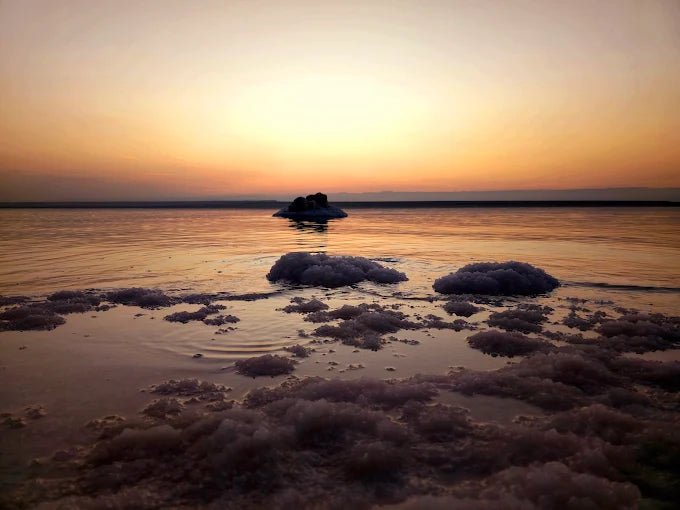 From Amman: Full - Day Private Dead Sea Tour with Optional Resort Access and Lunch