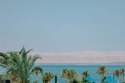 From Amman: Full - Day Private Dead Sea Tour with Optional Resort Access and Lunch