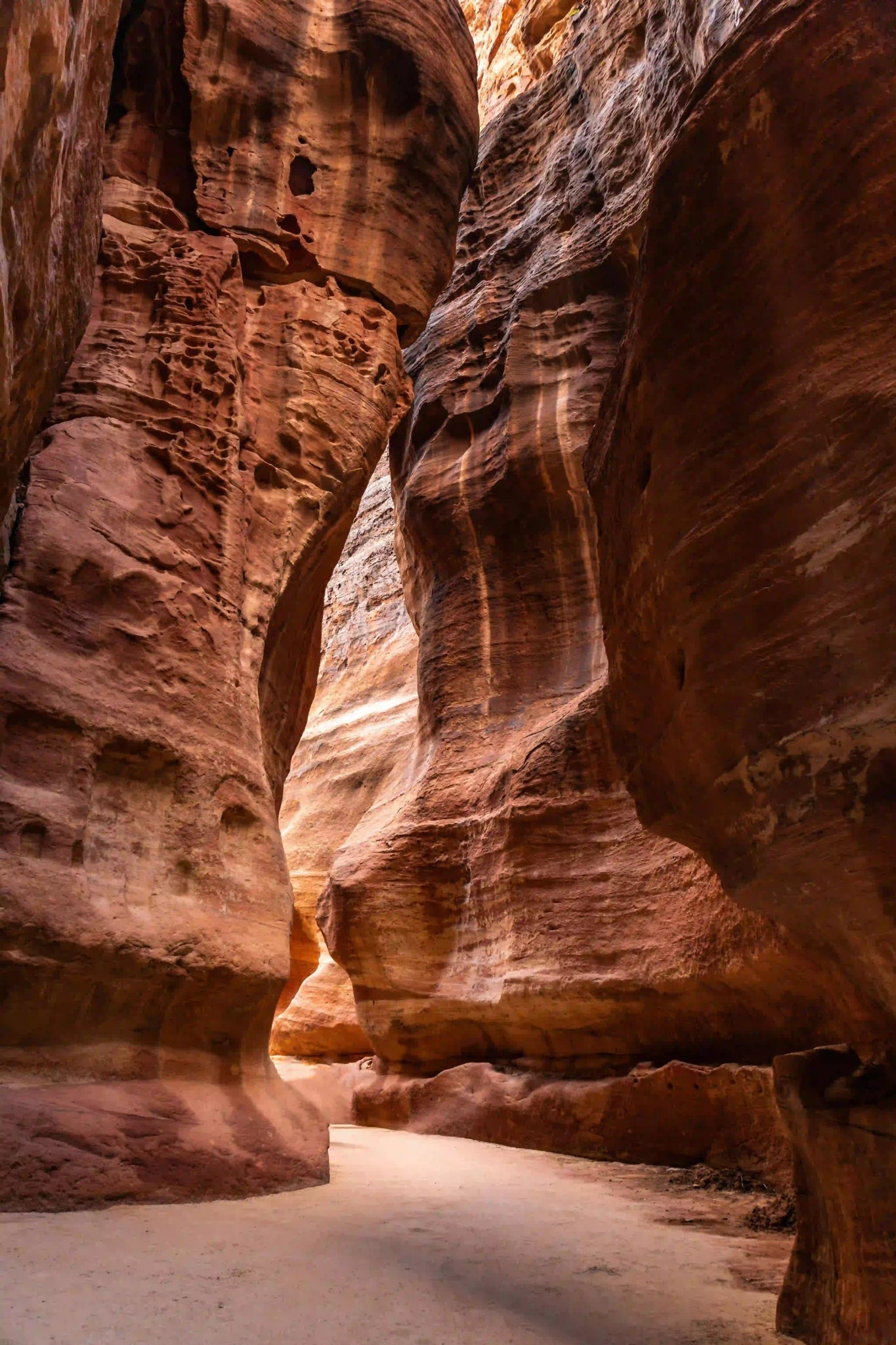 From Amman: Full - Day Private Tour of Petra