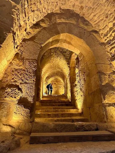 From Amman: Jerash and Ajloun Castle Private Day Tour